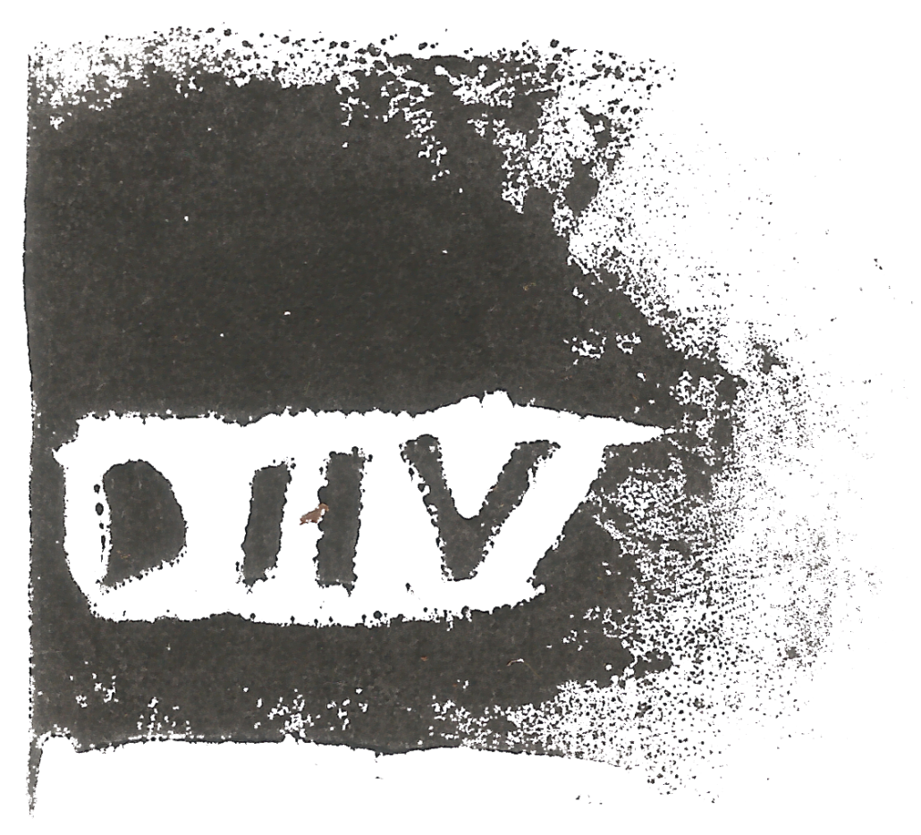 DIIV logo